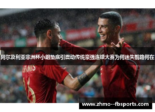 阿尔及利亚非洲杯小组垫底引震动传统豪强连续大赛为何迷失前路何在 阿尔及利亚非洲杯小组垫底引震动传统豪强连续大赛为何迷失前路何在
